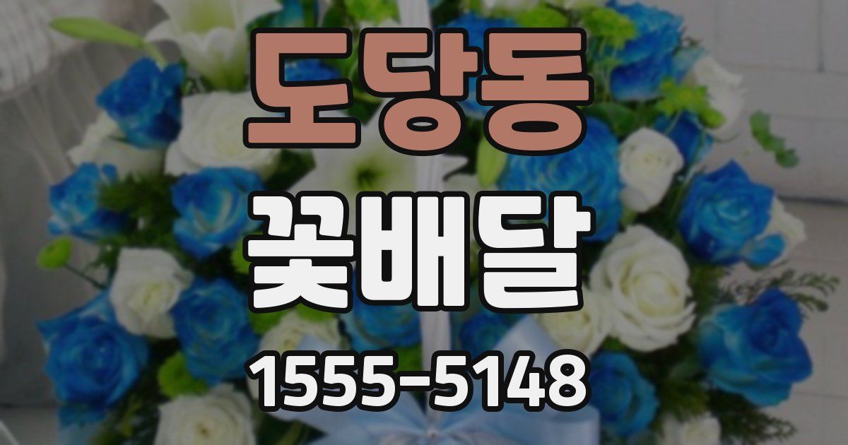 도당동 꽃배달