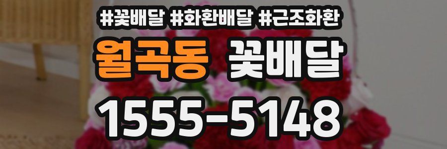 월곡동 꽃배달