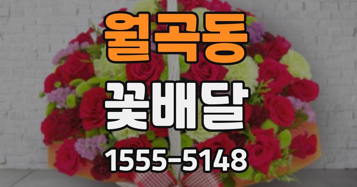 월곡동 꽃배달