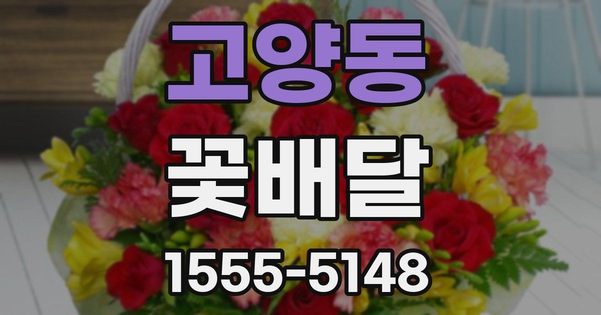 고양동 꽃배달