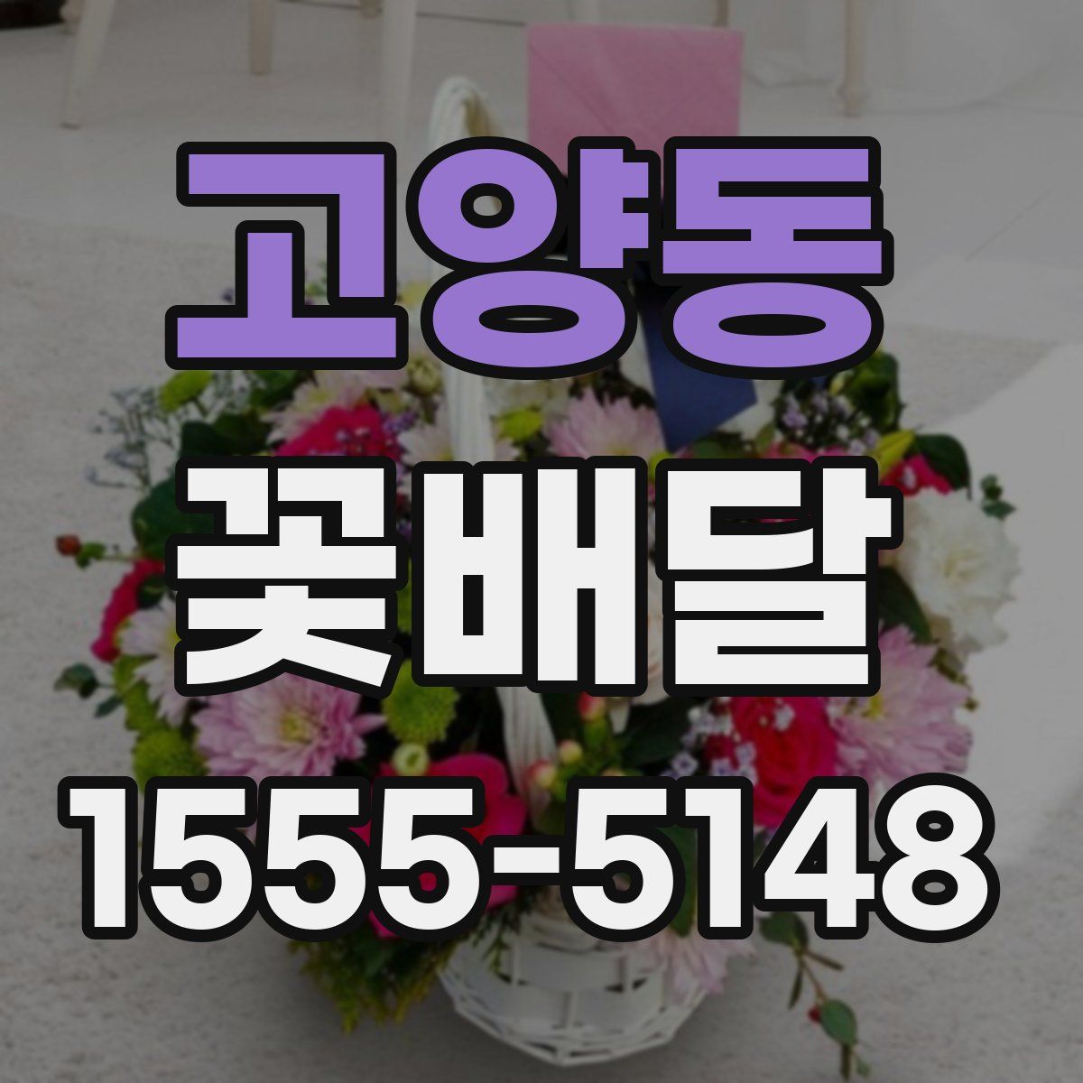 고양동 꽃배달