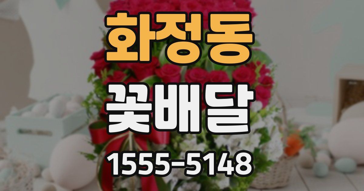 화정동 꽃배달