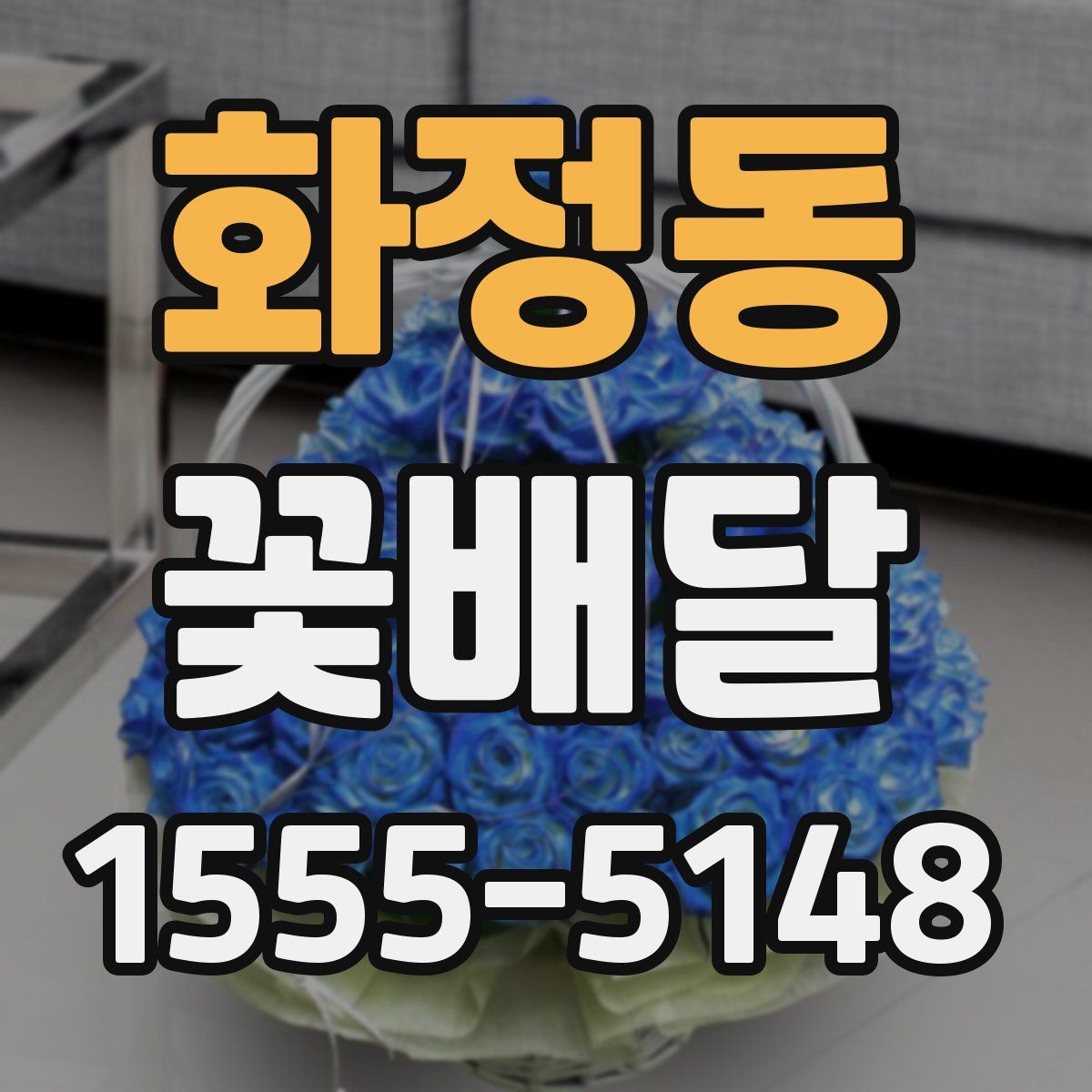화정동 꽃배달