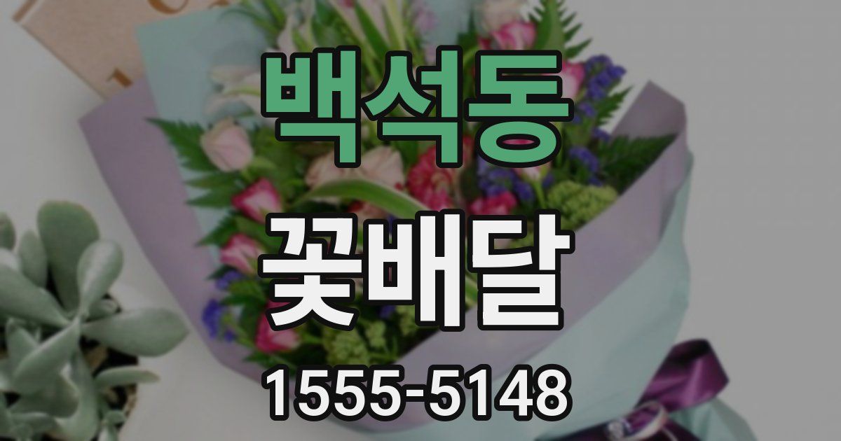 백석동 꽃배달