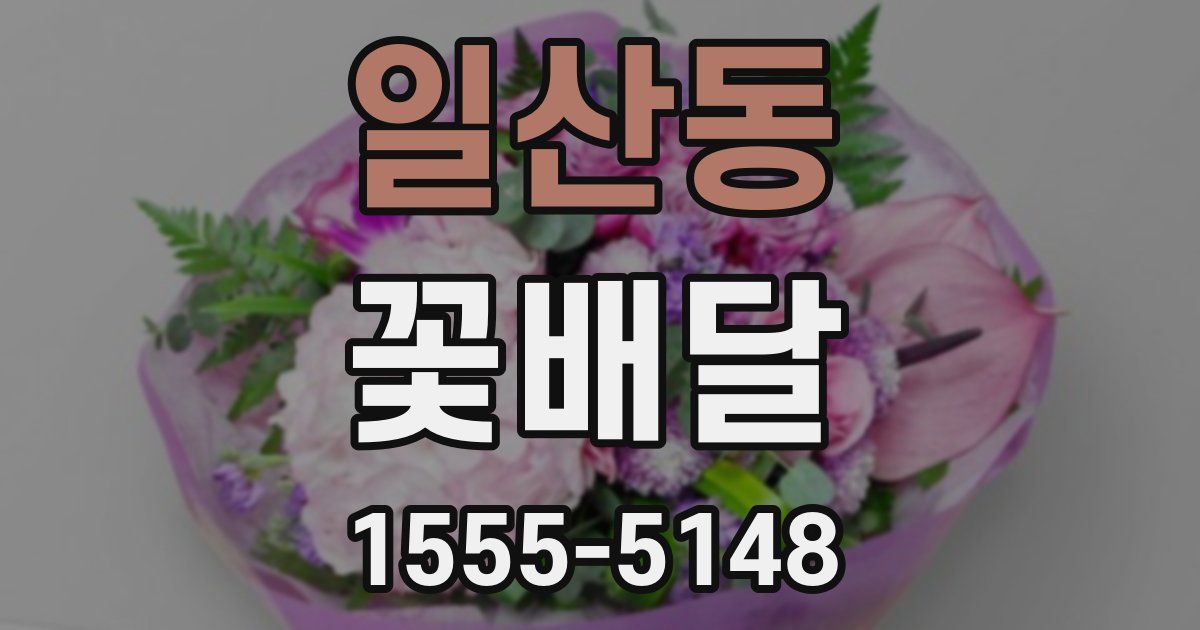 일산동 꽃배달