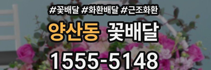 양산동 꽃배달