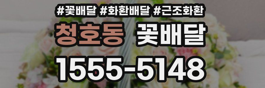 청호동 꽃배달
