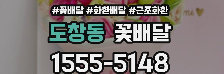 도창동 꽃배달