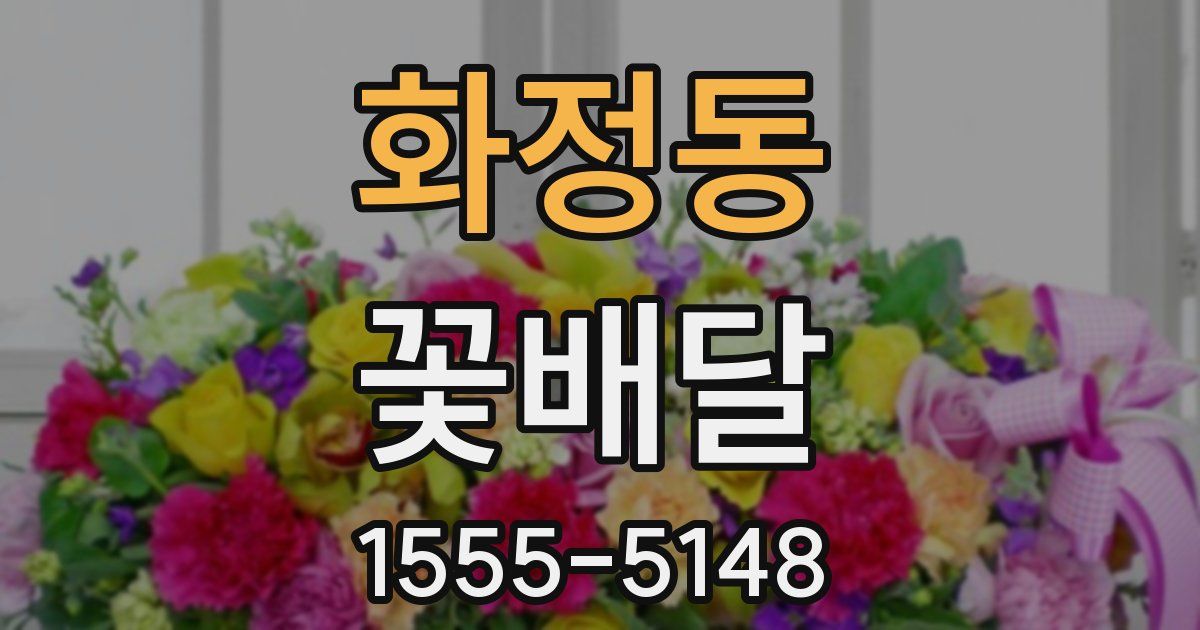 화정동 꽃배달