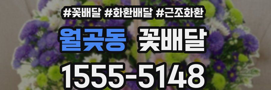 월곶동 꽃배달