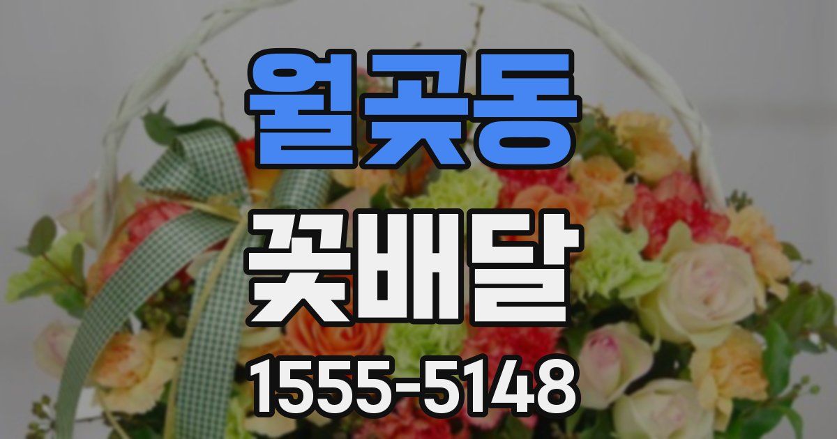 월곶동 꽃배달