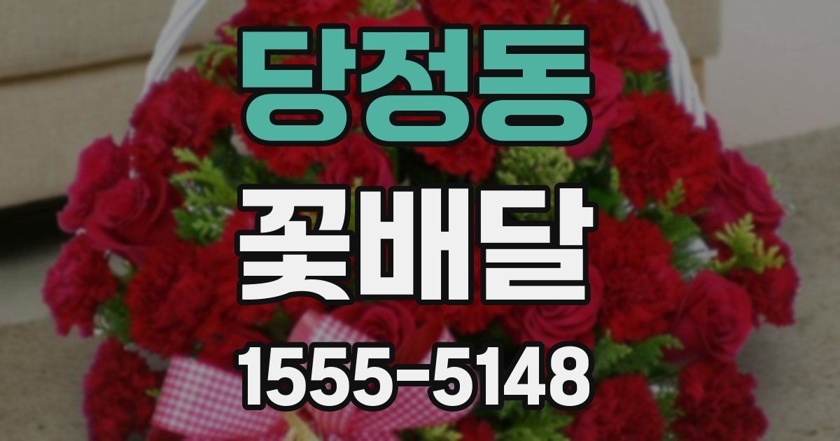 당정동 꽃배달