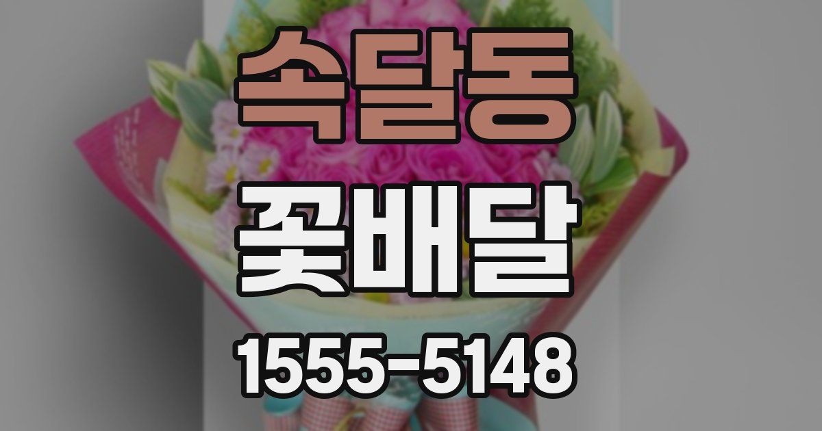 속달동 꽃배달