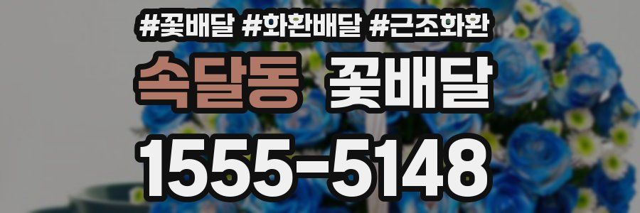 속달동 꽃배달