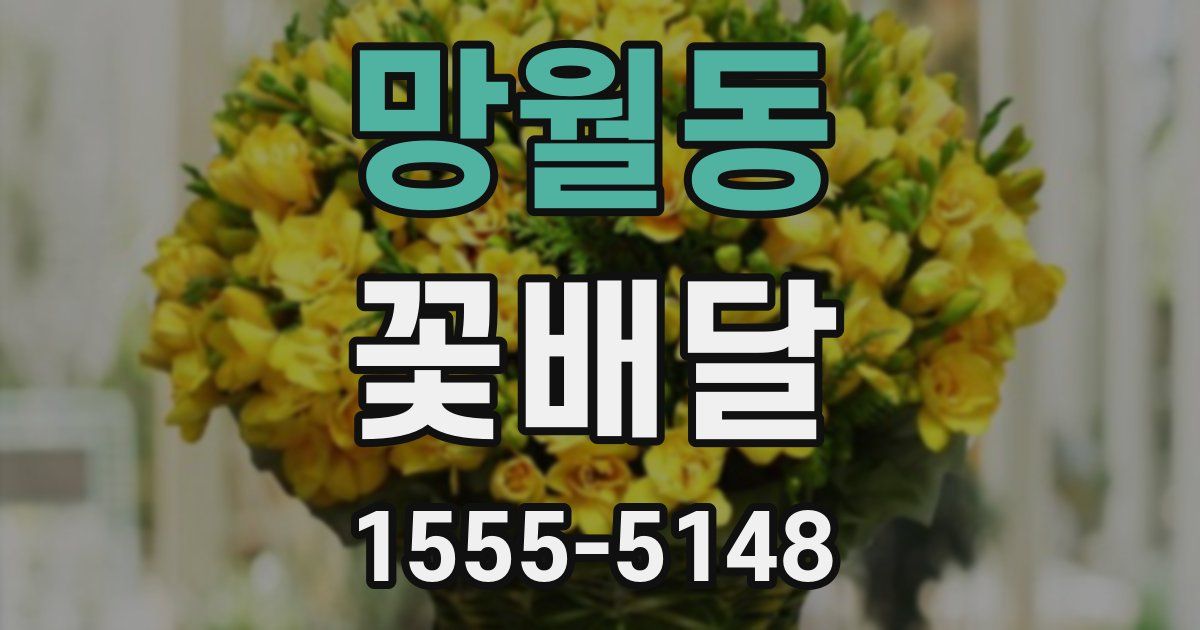 망월동 꽃배달