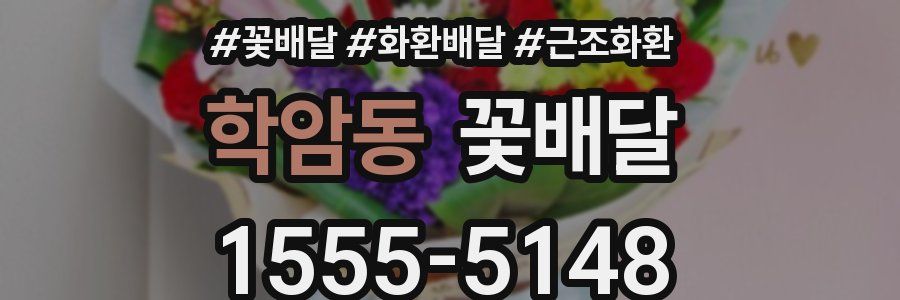 학암동 꽃배달