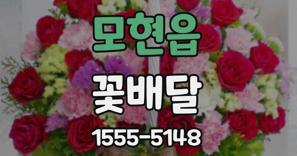 모현읍 꽃배달