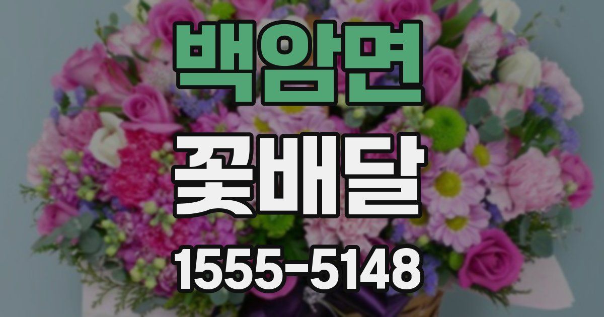 백암면 꽃배달