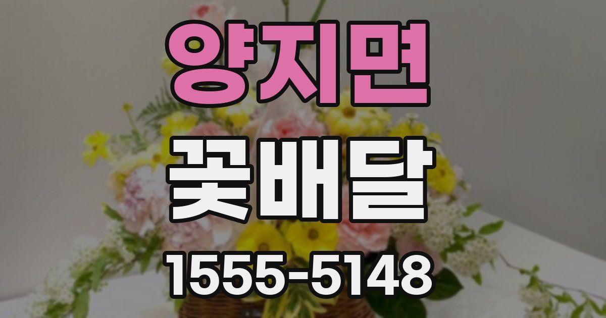 양지면 꽃배달