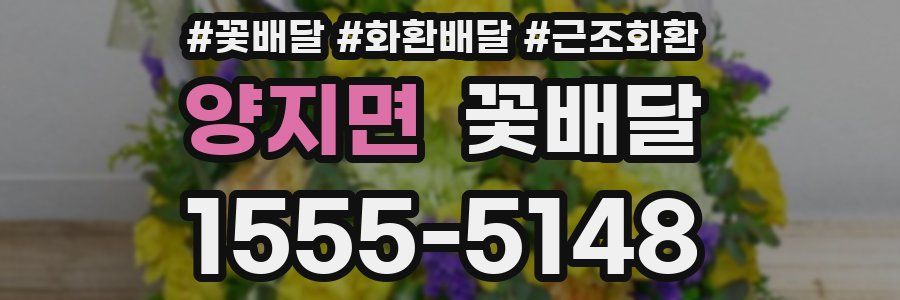 양지면 꽃배달