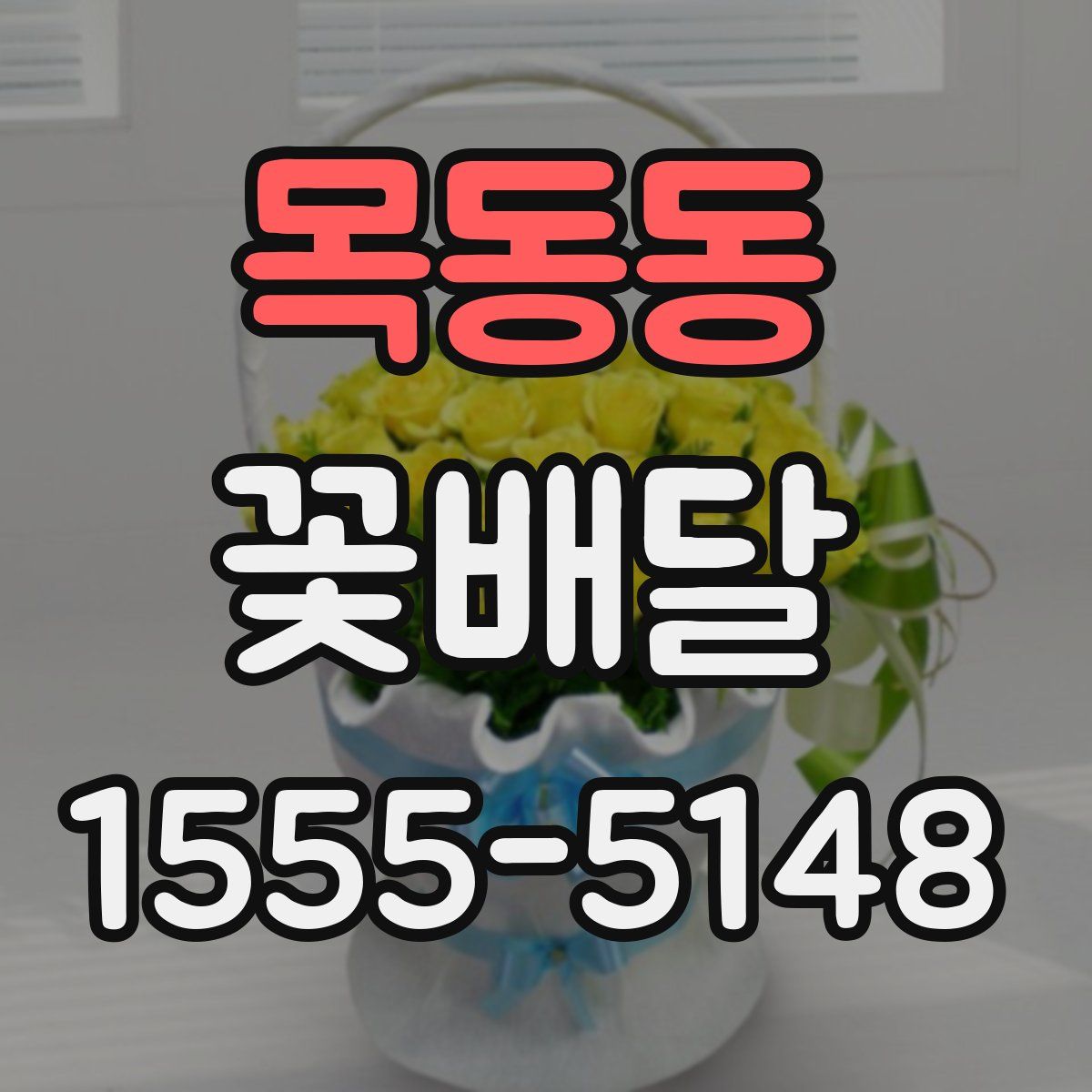 목동동 꽃배달
