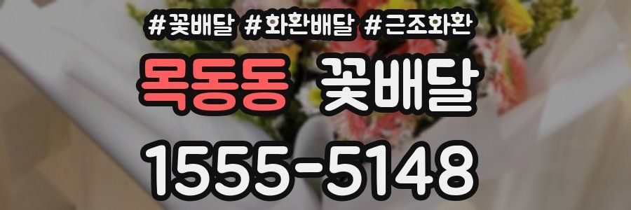 목동동 꽃배달