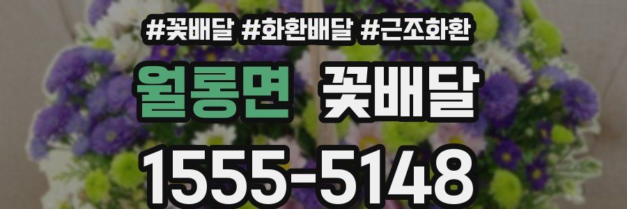월롱면 꽃배달