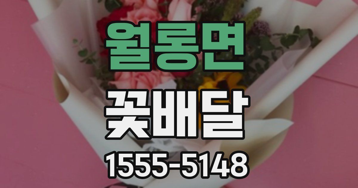 월롱면 꽃배달