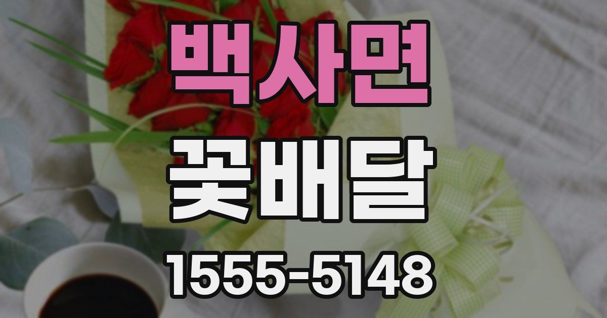 백사면 꽃배달