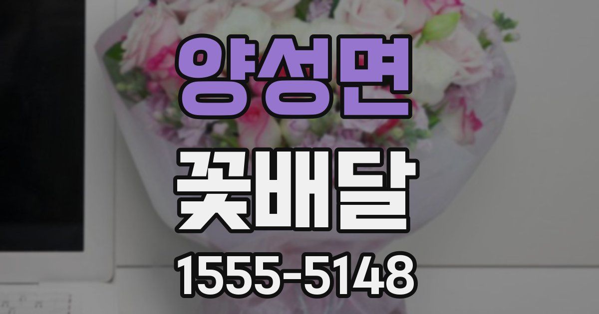 양성면 꽃배달