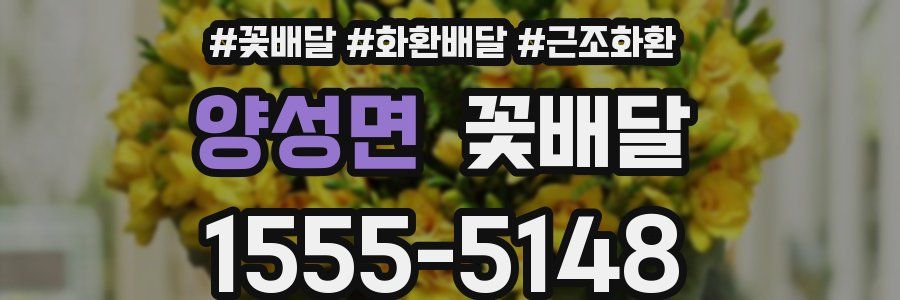 양성면 꽃배달