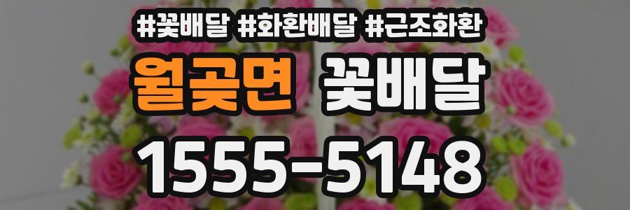월곶면 꽃배달