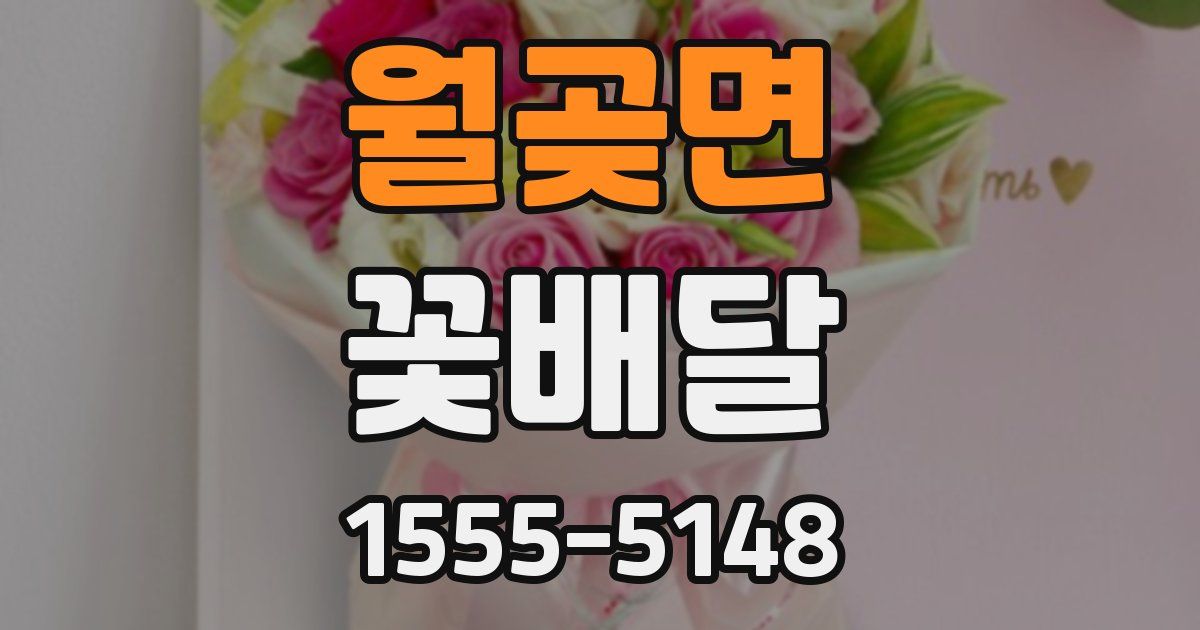 월곶면 꽃배달