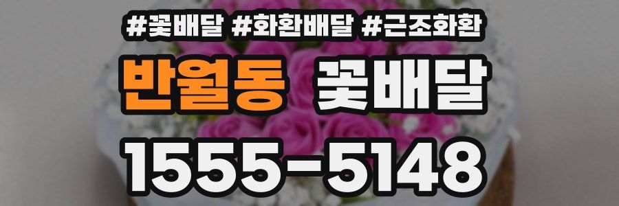 반월동 꽃배달