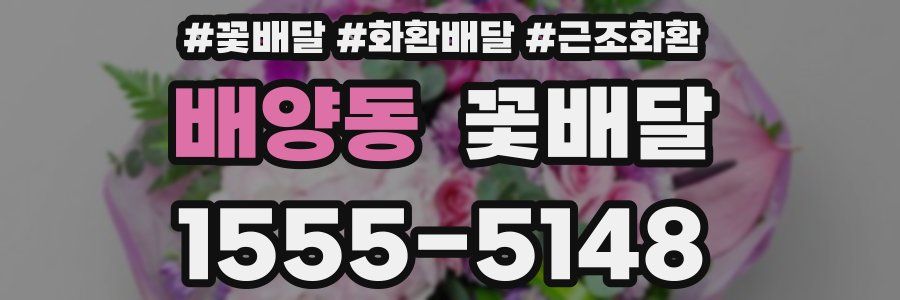 배양동 꽃배달