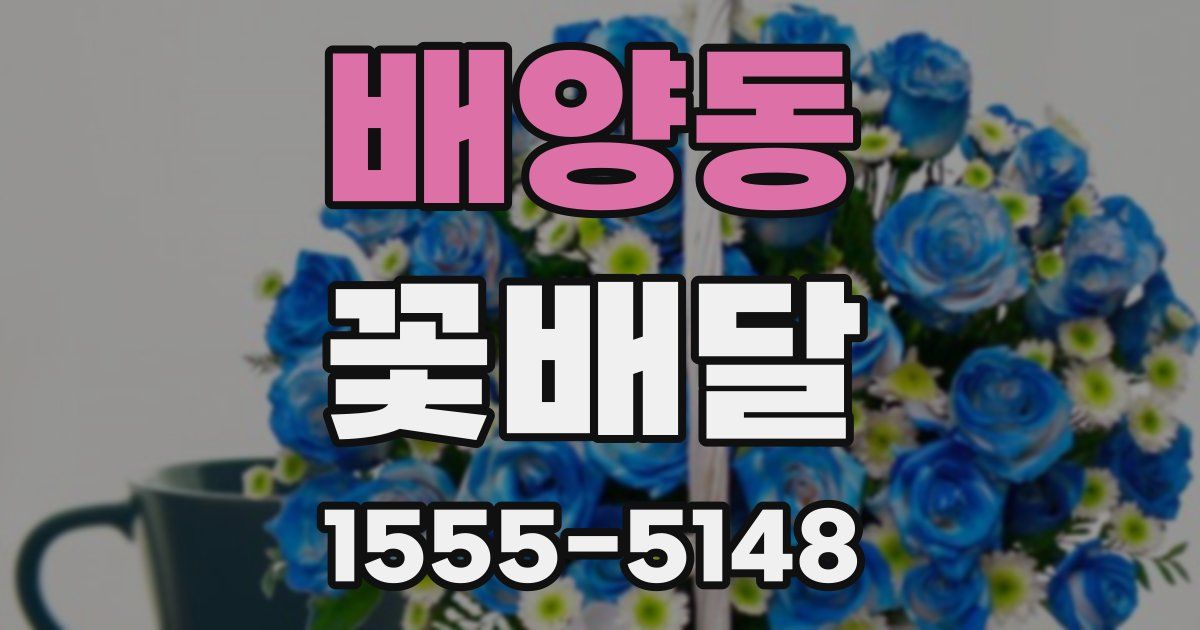 배양동 꽃배달