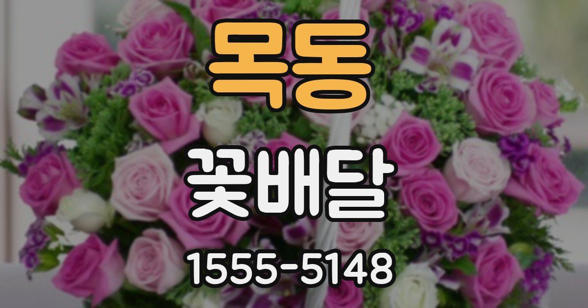목동 꽃배달