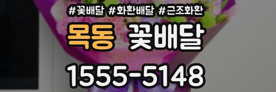 목동 꽃배달