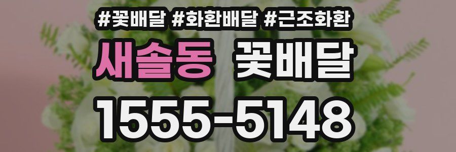 새솔동 꽃배달