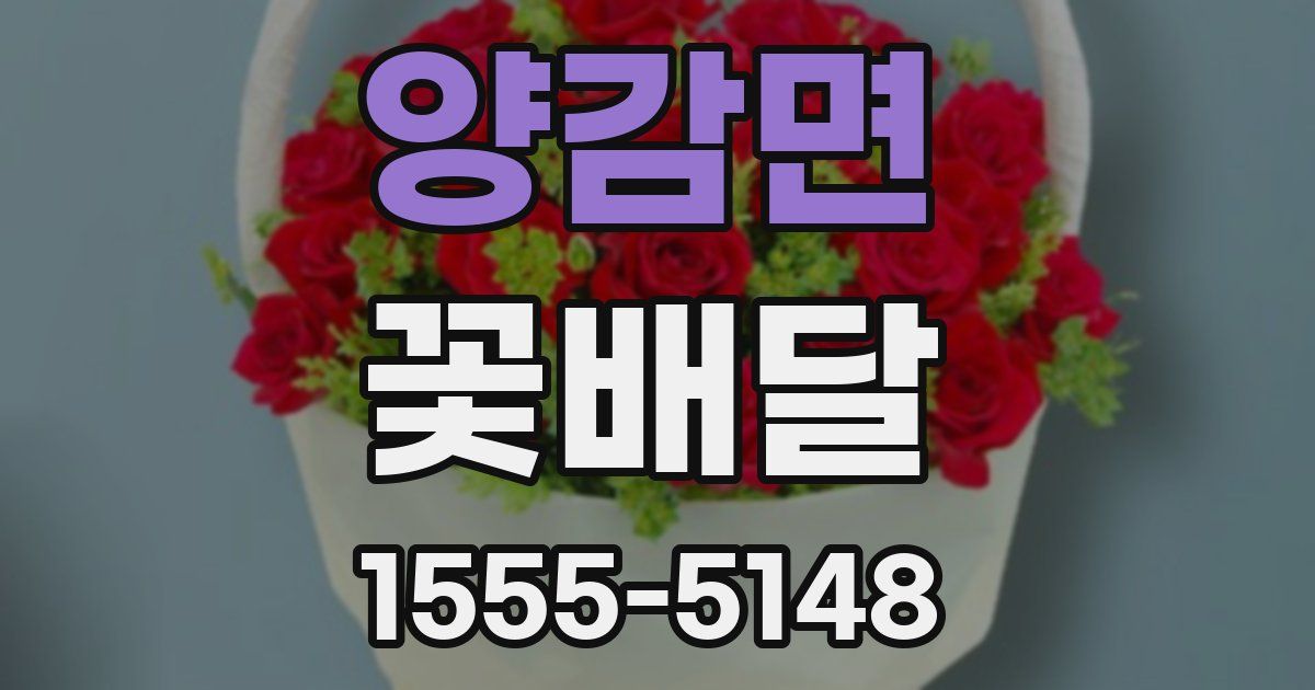 양감면 꽃배달