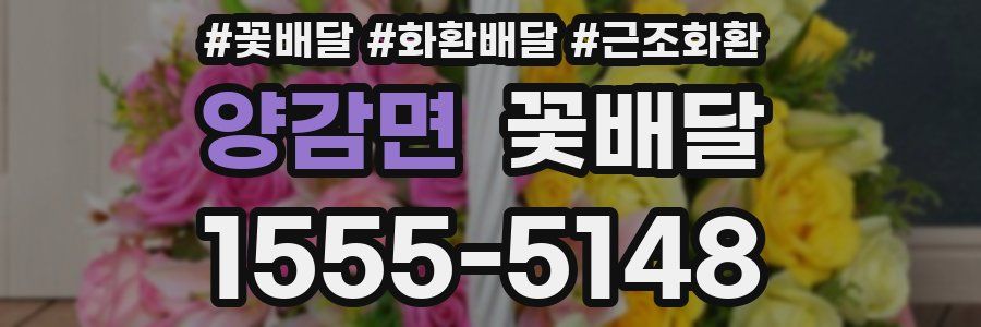 양감면 꽃배달