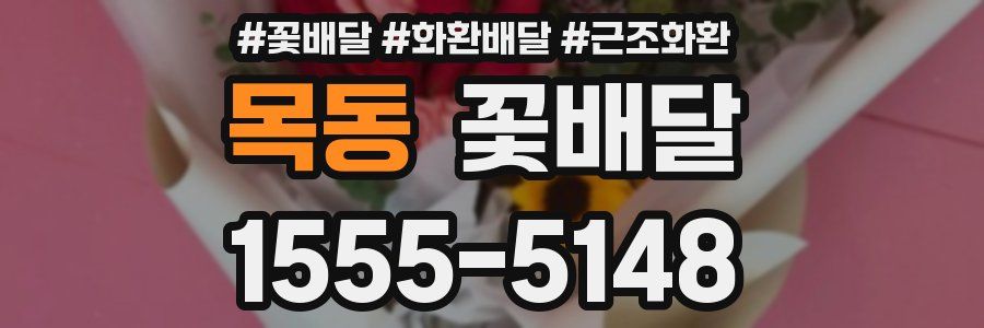 목동 꽃배달
