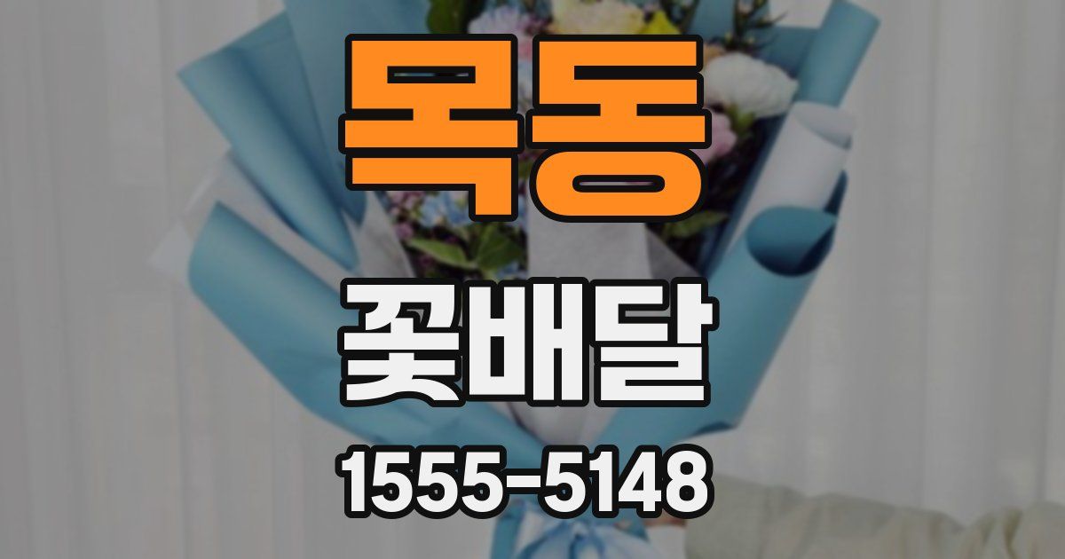 목동 꽃배달