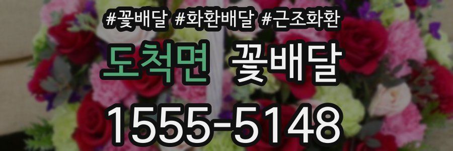 도척면 꽃배달