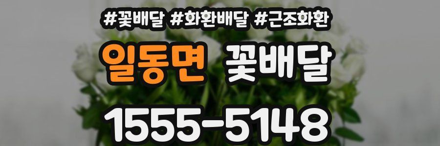 일동면 꽃배달