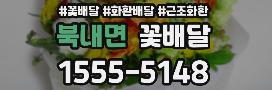 북내면 꽃배달