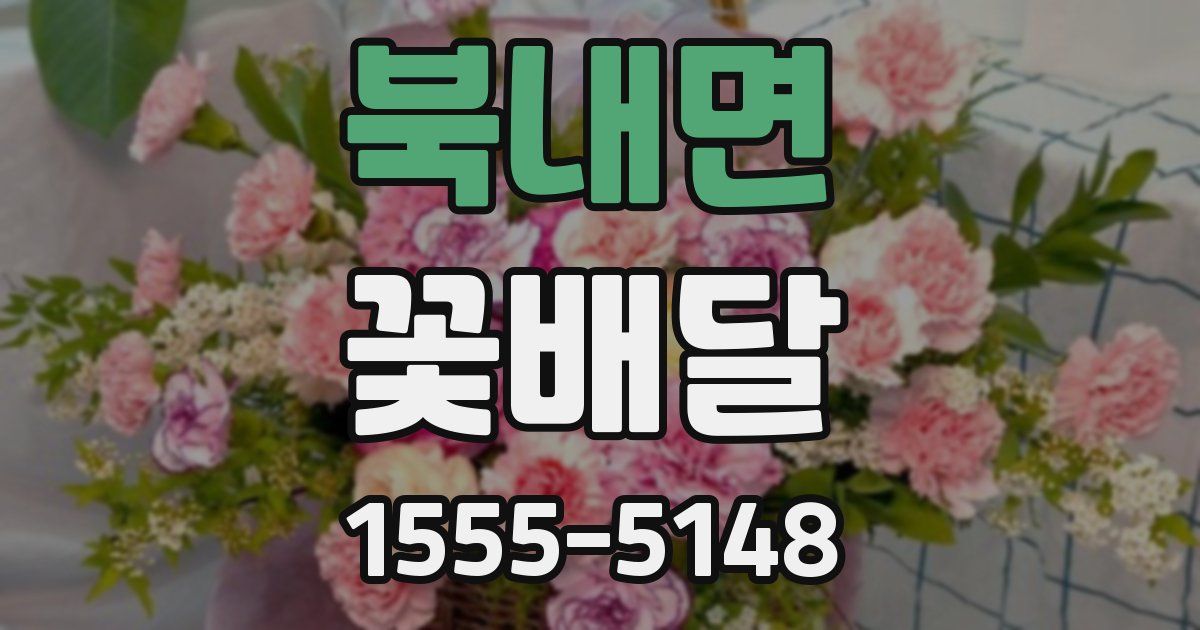 북내면 꽃배달