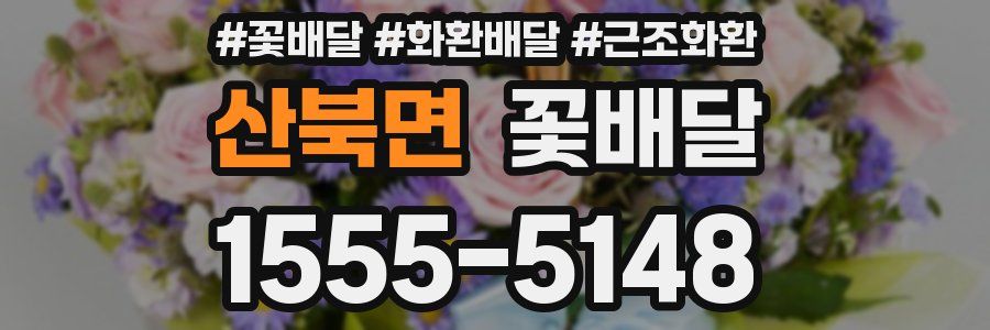 산북면 꽃배달