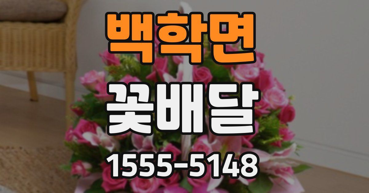 백학면 꽃배달