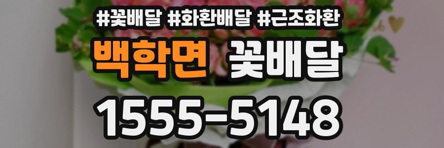백학면 꽃배달